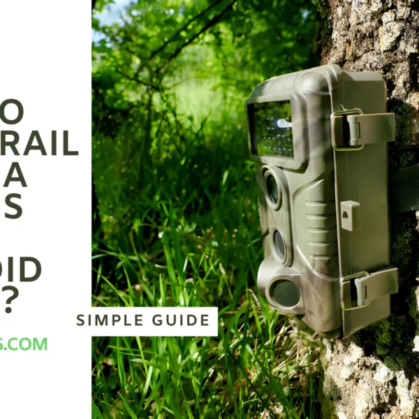 How to View Trail Camera Photos on Android Phone 2024? Simple Guide